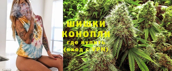 прущие крисы Белокуриха