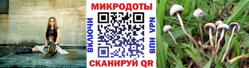 где купить   Корсаков  Псилоцибиновые грибы ЛСД 